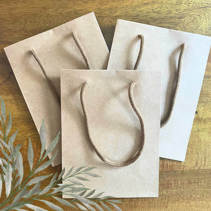 Kraft Paper Bag/ Party Bag/ Eco-friendly - Goodieland