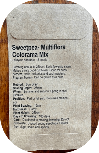 Sweetpea- Multiflora Colorama Mix - goodieland.com.au