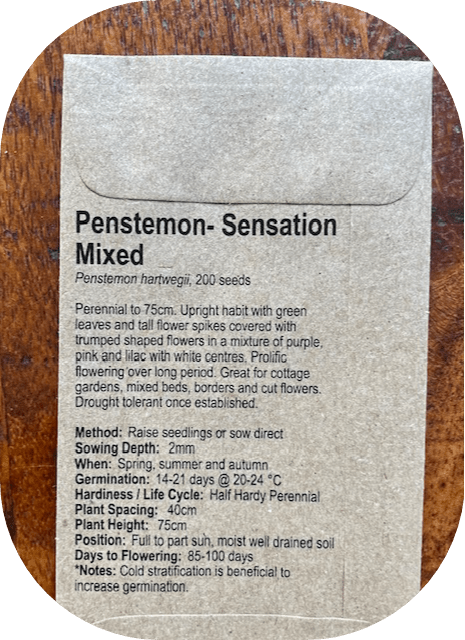 Penstemon- Sensation Mixed - goodieland.com.au